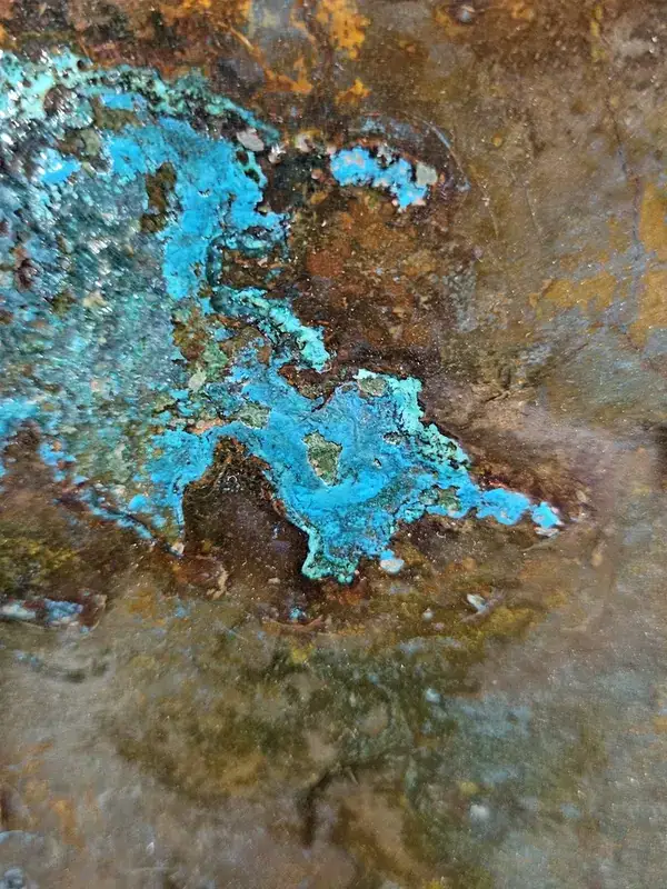 co sprawia że patyna jest zjawiskiem żywym